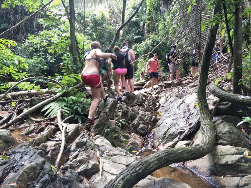 Phuket: Jungle Trekking Experience at Khao Phra Taew - Overview and Pricing