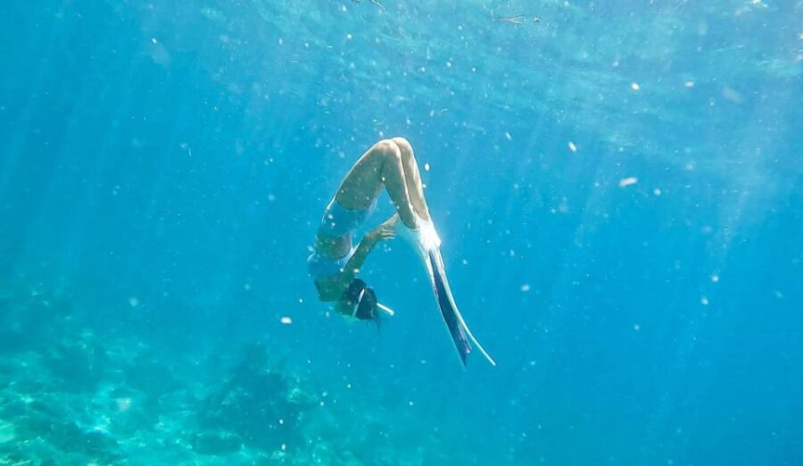 Phuket: Phi Phi, Maya, Khai, or Bamboo Island Day Trip - Trip Overview and Pricing