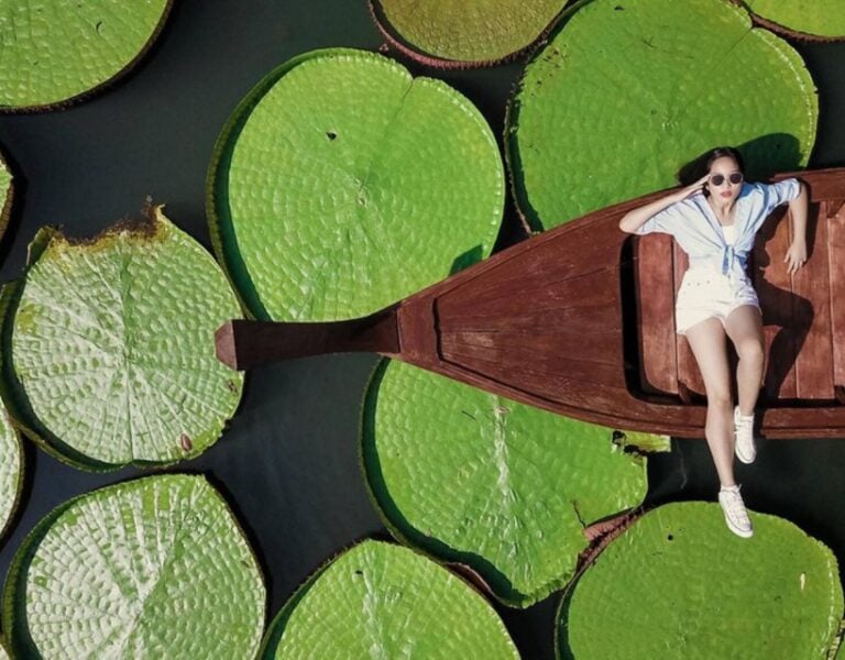 Phuket: Private & All-Inclusive Giant Water Lilies Tour