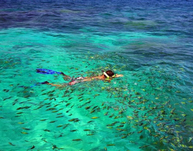 Phuket Similan Islands Private Speedboat Adventure