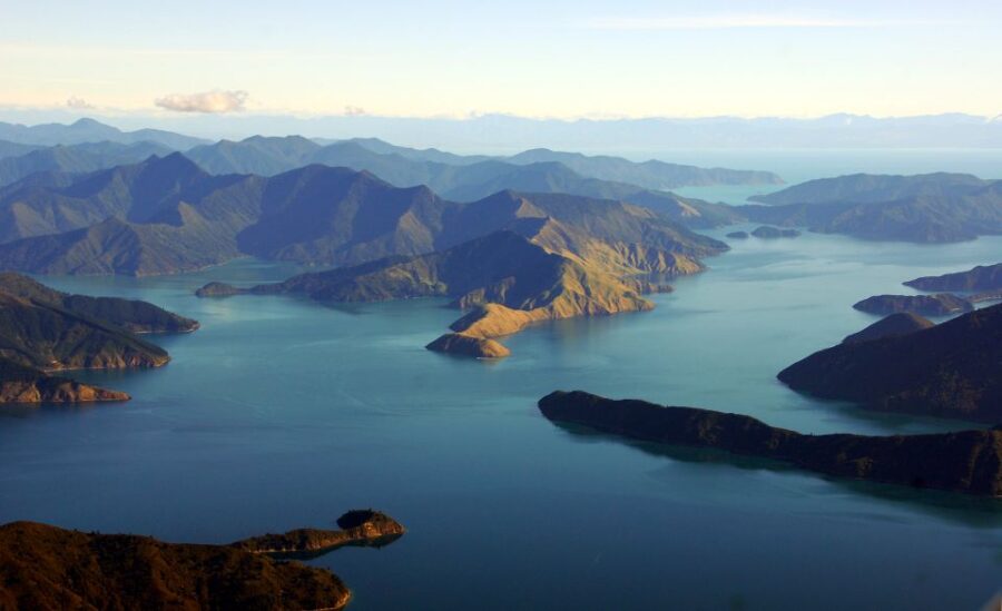 Picton: Queen Charlotte Sounds Sightseeing Cruise - Overview of the Cruise