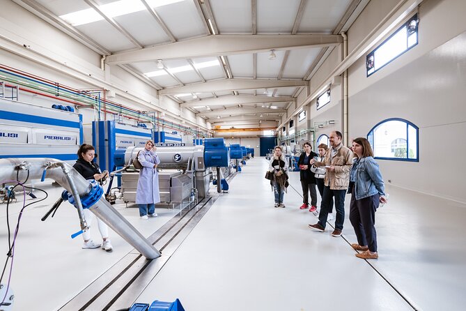 Picualia, Visit the Oil Mill & EVOO Tasting