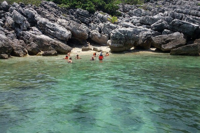 Pig Island Experience By Speed Boat, Snorkeling, Kayaking Relaxing on the Beach - Overview of the Pig Island Tour