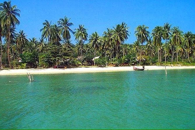 Pig Island ,Snorkeling, Private Long Tail Boat (Local Thai Experience)