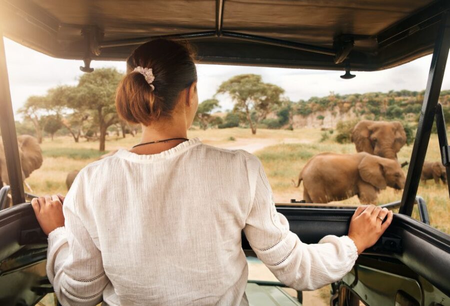 Pilanesberg Wildlife Safari From Johannesburg