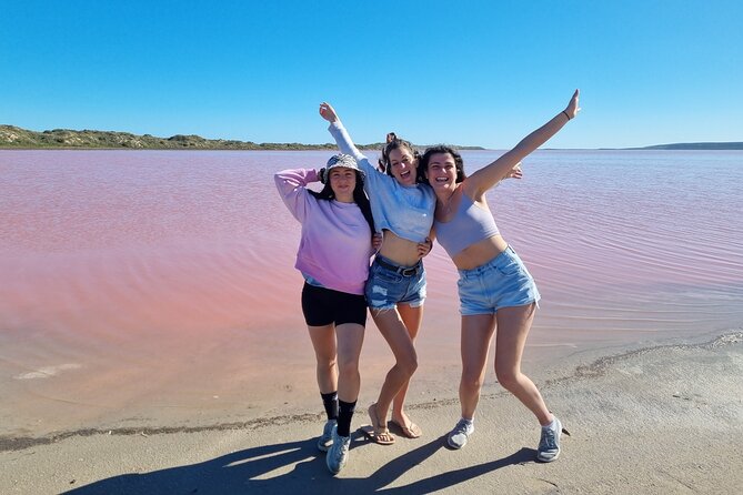 Pink Lake Small-Group Buggy Tour - Tour Overview