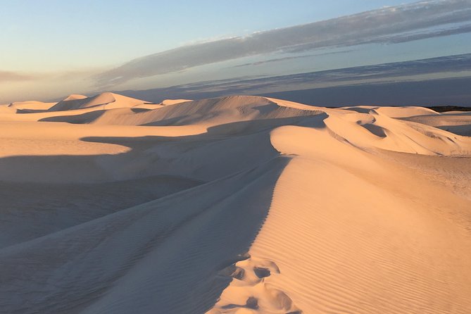 Pinnacles Desert Private Tour - Itinerary Highlights