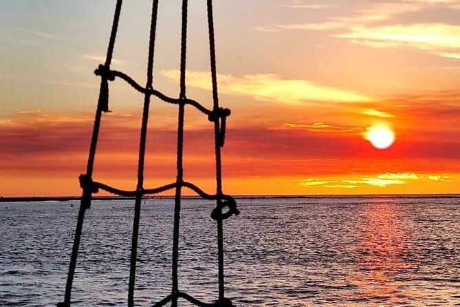 12 Best Cruises And Boat Tours In Mandurah