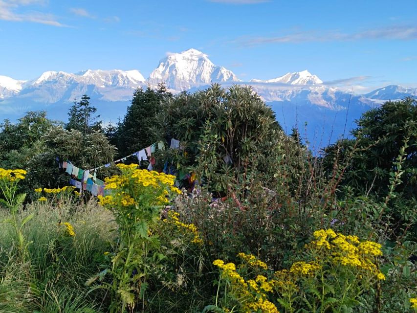 Pkr :4 D,Budget Backpackerers Group Poon Hill Trek (Fix Dep) - Trek Overview and Highlights