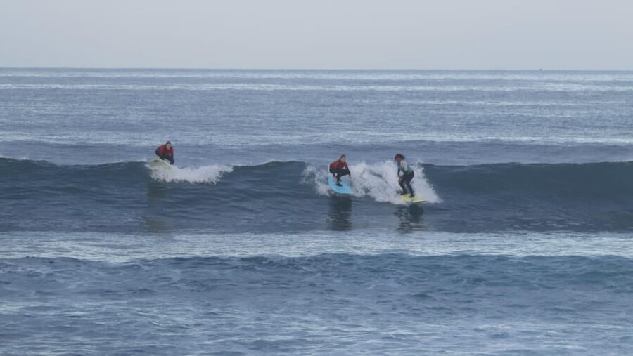 25 Best Workshops And Classes In Tenerife