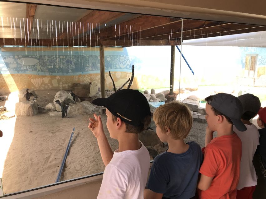 Plettenberg Bay: EcoKidz Family Challenge Wildlife Tour