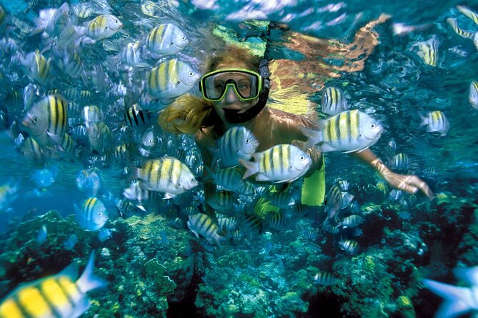 Plus Full Day Catamaran Tour to Isla Mujeres All Inclusive