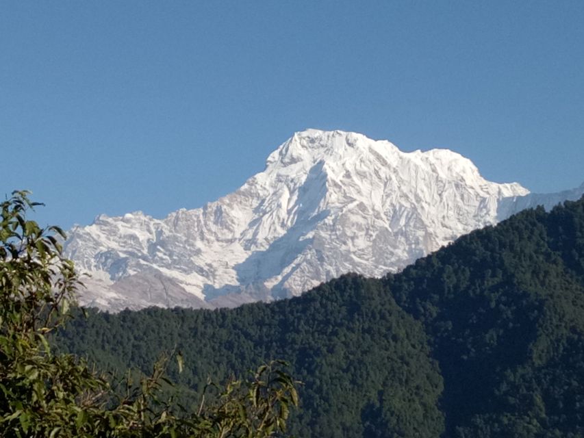 Pokhara: 1 Night 2 Days Short Australian Camp Trek - Overview and Pricing
