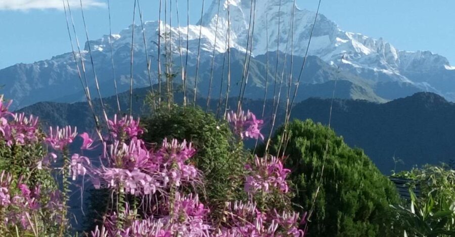 Pokhara: 3-Day Trek - Trek Overview and Pricing