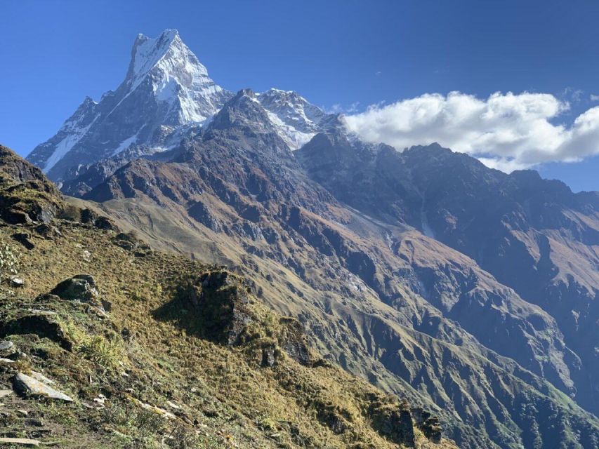 Pokhara: 4 Days Mardi Himal Trek - Trek Overview and Pricing