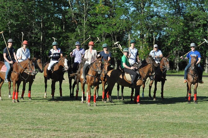 Polo Lessons From Buenos Aires by Polo Elite - Overview of the Polo Lessons