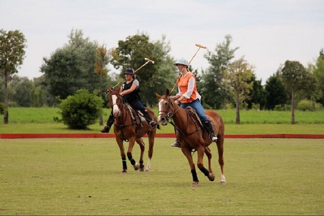 Polo Match, BBQ and Lesson Day-Trip From Buenos Aires - Overview of the Polo Day Trip