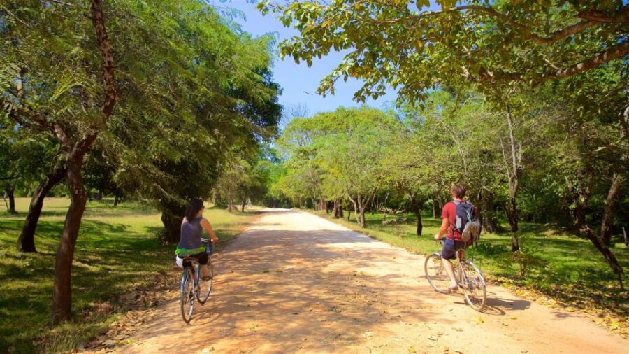 2 Best Tours In Polonnaruwa District