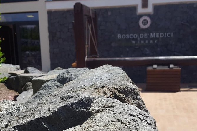Pompei Archeological Site and Wine Tasting Experience