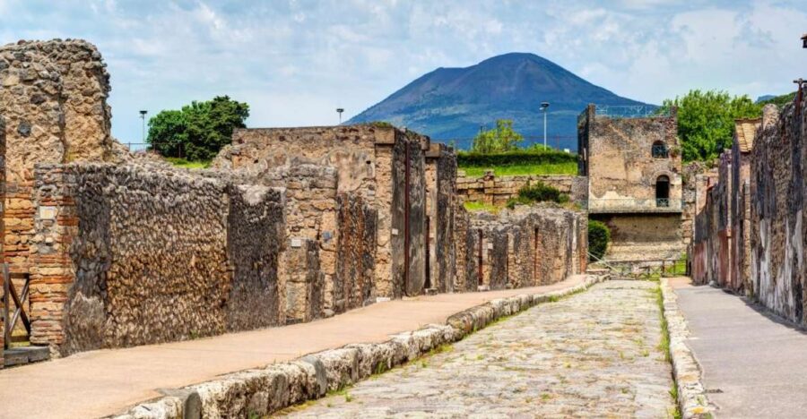 Pompeii: Shared Tour With Guide and Wine Tasting in the Winery