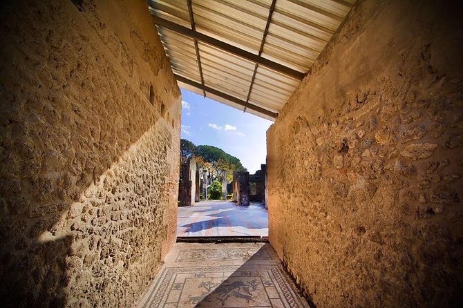 Pompeii Tour + Wine & Food Tasting at Mt. Vesuvius - Inclusions and Pricing