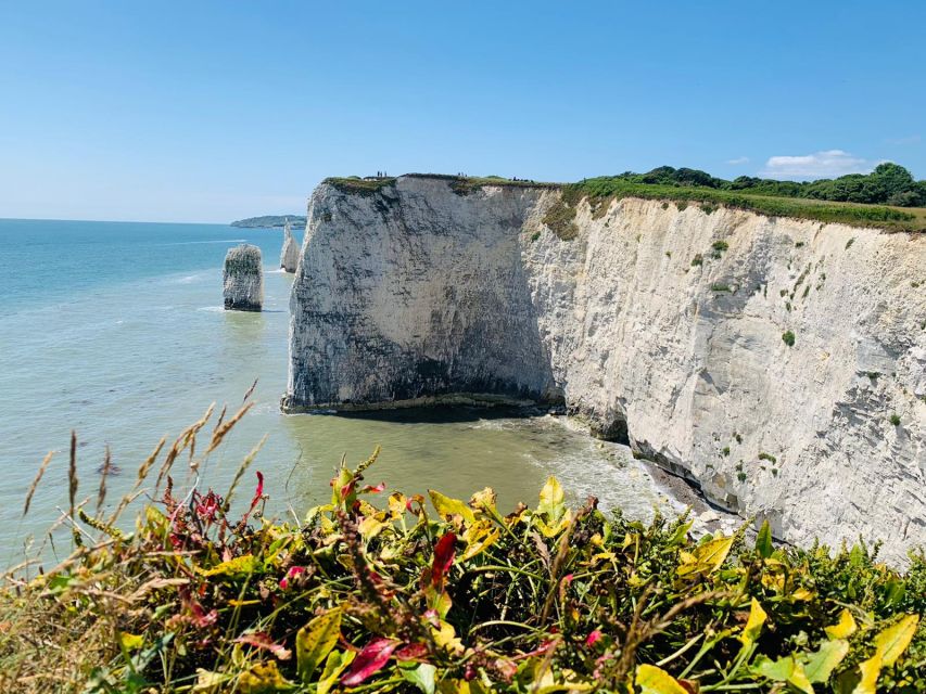3 Best Guided Tours In Poole
