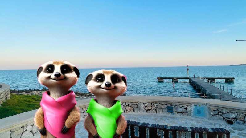 Port Dalcudia: Meet the Magical Creatures,Family Game &Walk