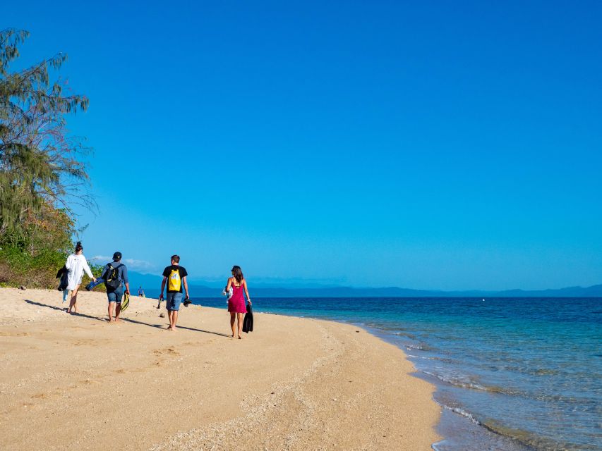10 Best Snorkeling Experiences In Port Douglas