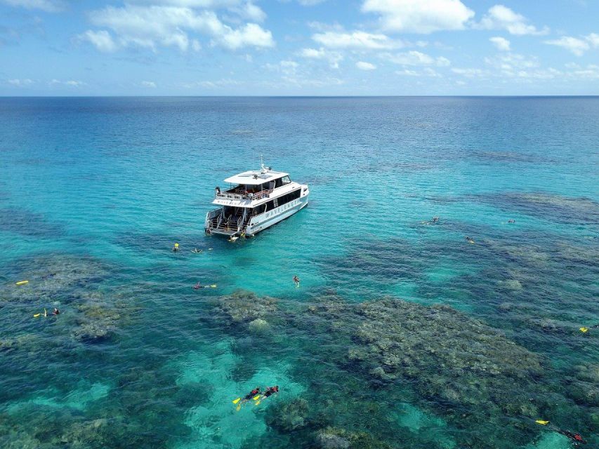 Port Douglas: Outer Great Barrier Reef Snorkeling Cruise