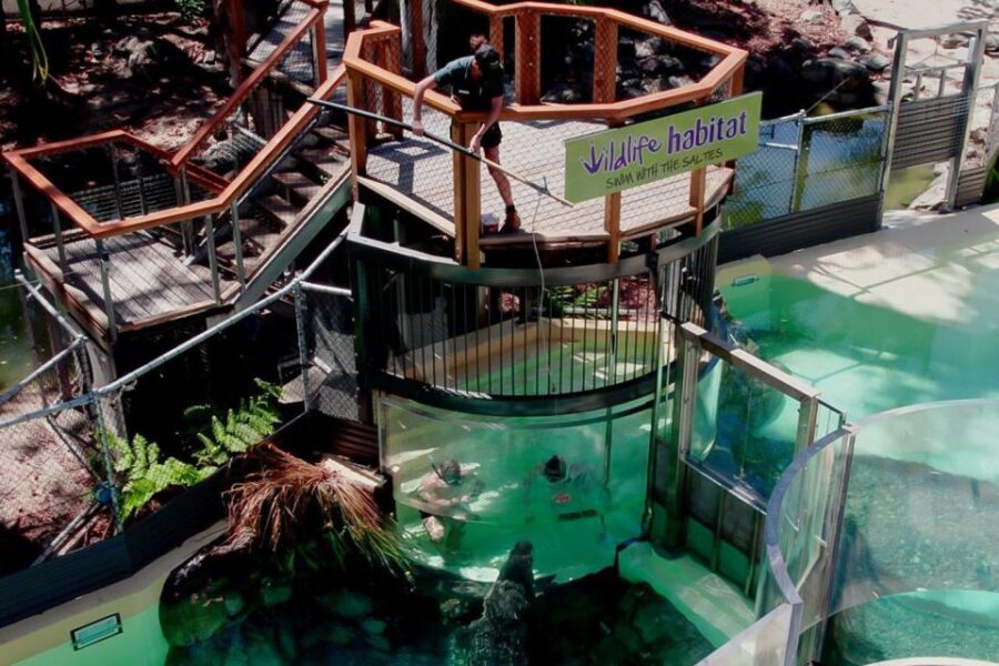 Port Douglas: Wildlife Habitat Swim With Crocodiles - Overview of the Experience