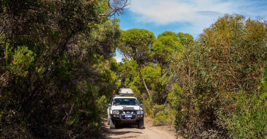 Port Lincoln: Wildlife and Sightseeing Full-Day 4WD Tour