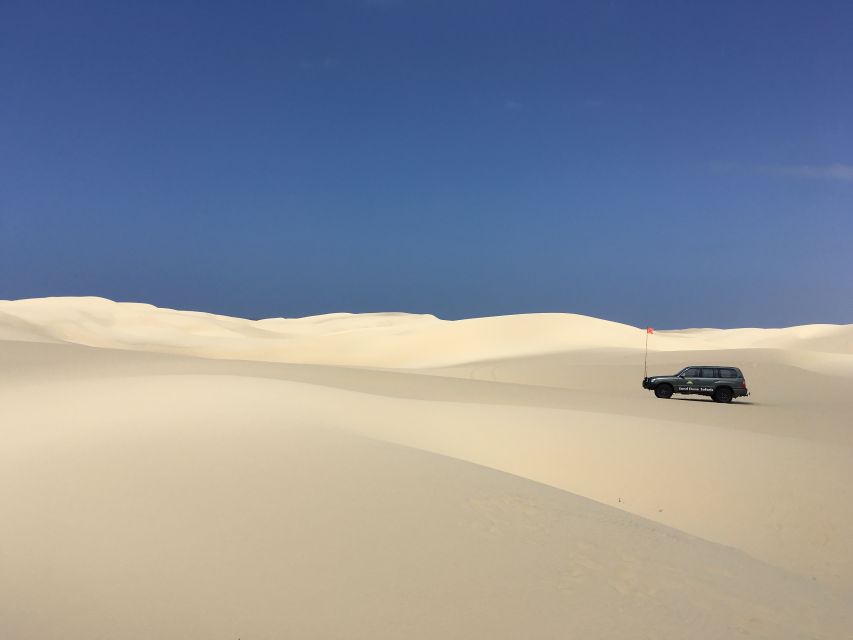 Port Stephens: Sandboarding & Sandsurfing With 4WD Transfer