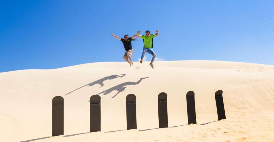 3 Best Tours In Port Stephens