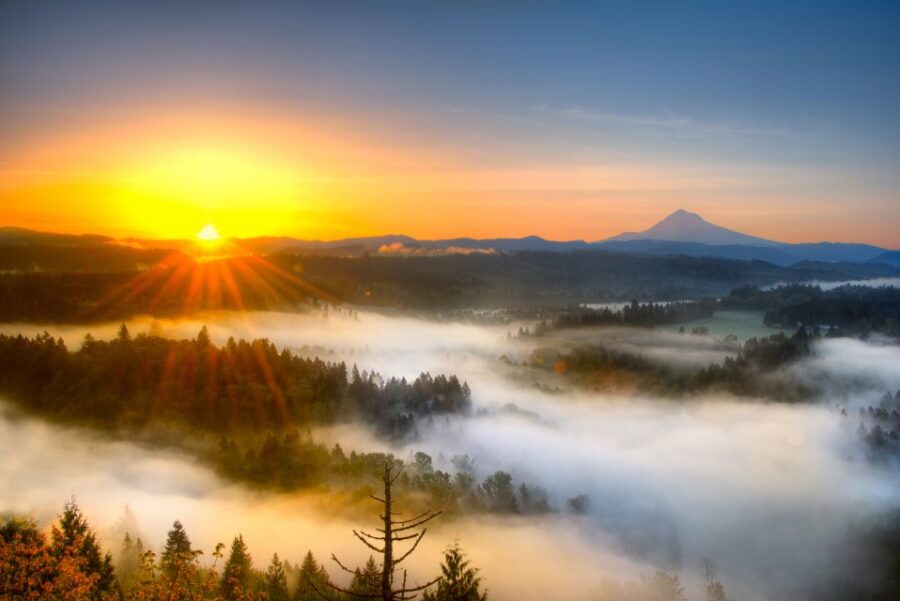 Portland: Flightseeing Tour Mount Hood - Tour Overview and Pricing