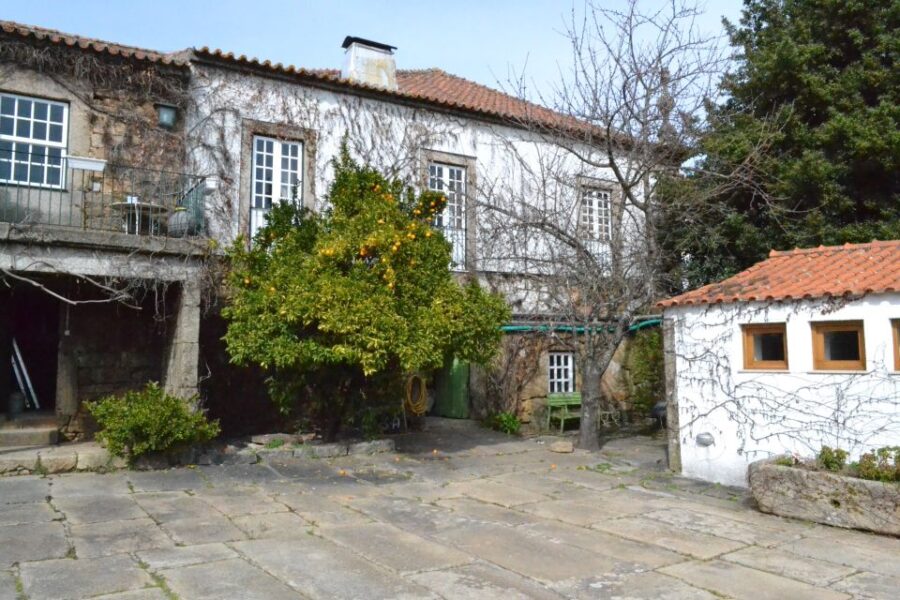 Porto: 3 Douro Valley Vineyards Tour With Lunch - Tour Overview