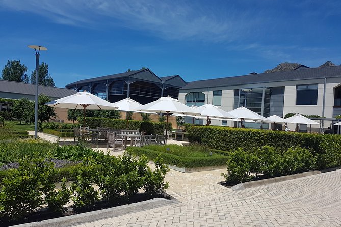 Premium Hawkes Bay Wine Country Private Tour - 6hrs - up to 10 People