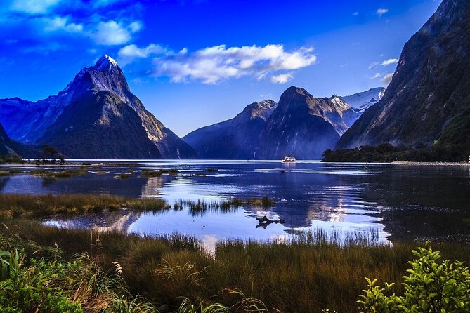 Premium Milford Sound Tour Including Cruise, Flight and Lunch