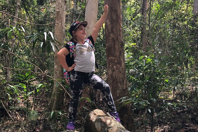 Premium Springbrook Natural Bridge, Glow Worm Cave & Skywalk