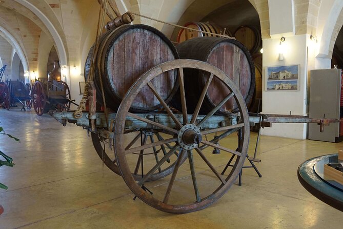 Primitivo and Negroamaro Wine Tour: a Visit to Two Wineries and Typical Lunch. From Lecce - Tour Overview