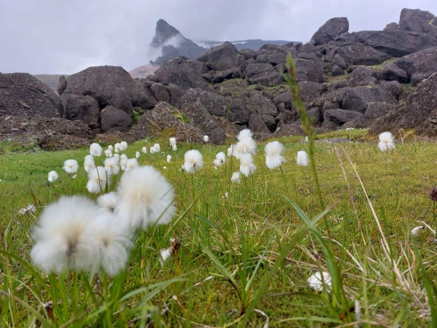 Private 12 Hour Jeep Tour in Landmannalaugar From Reykjavik - Tour Overview and Pricing