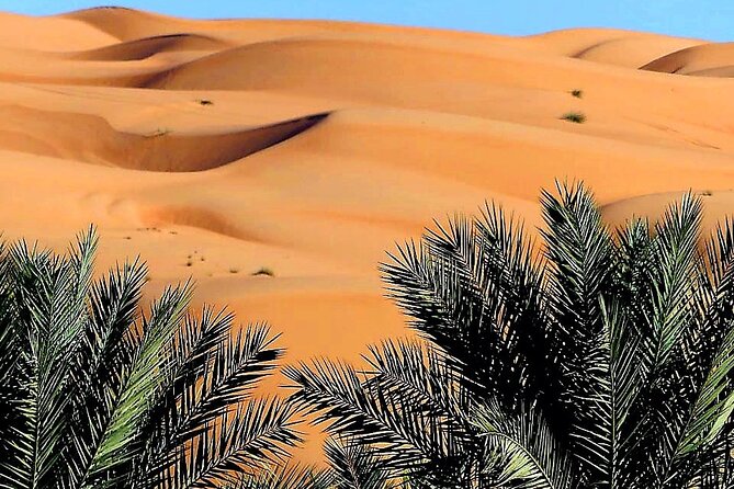 Private 2 Days 1 Night Wahiba Sands Desert and Wadi Bani Khalid Tour