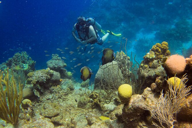 3 Best Guided Tours In Willemstad