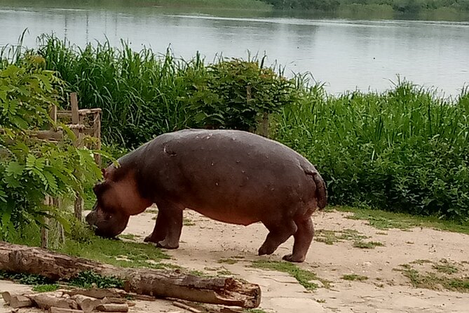 Private 3-Day Tour in Queen Elizabeth Park Safari