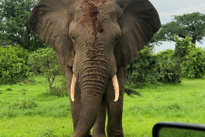 Private 3 Days 2 Nights Mikumi Adventures