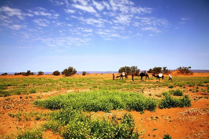 Private 3-Days Desert Tour From Zagora to Erg Chigaga Dunes & Camel Trek