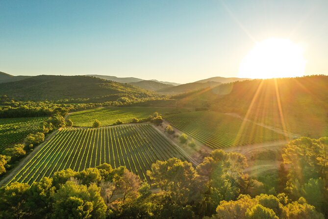 Private 4×4 Ride in a Wine Estate Followed by a Tasting