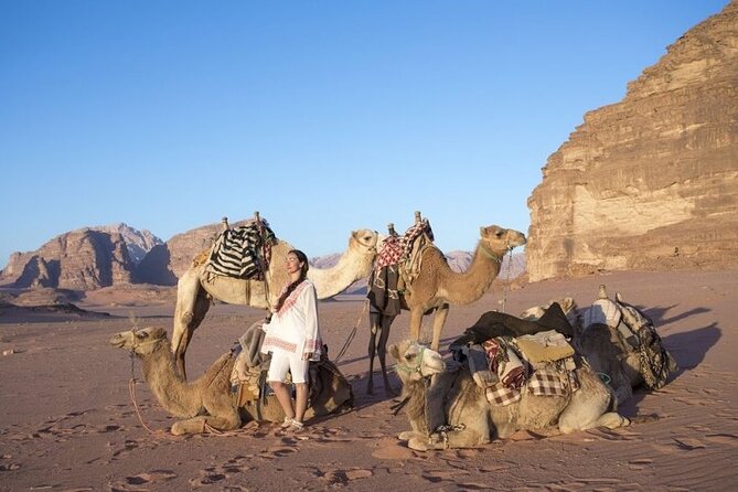 Private 5-Day Guided Tour of Jordan - Tour Overview