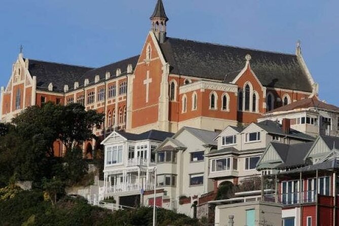 Private 5 Hour Wellington City Heights Tour - Tour Overview and Details