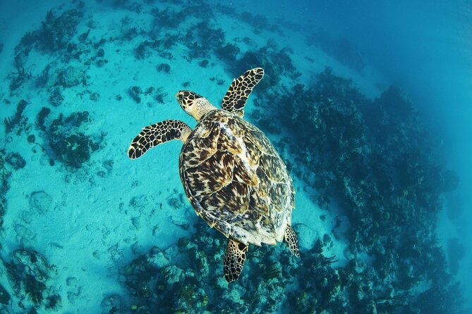 Private Adventurous Half Day Charter