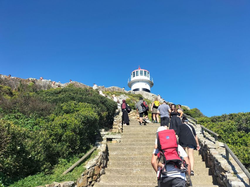 Private Airport Transfer From Cape Town Airport to Hotel - Transfer Details